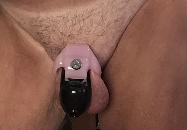 My new cage