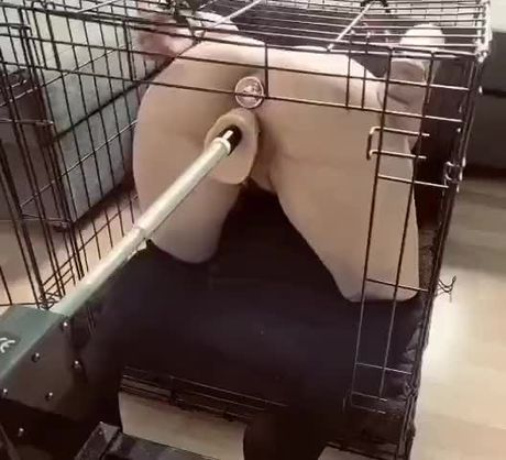 Machine fuck bdsm
