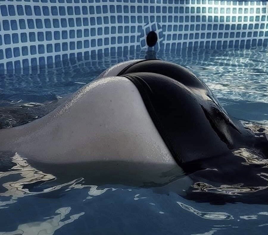 Amazing ass