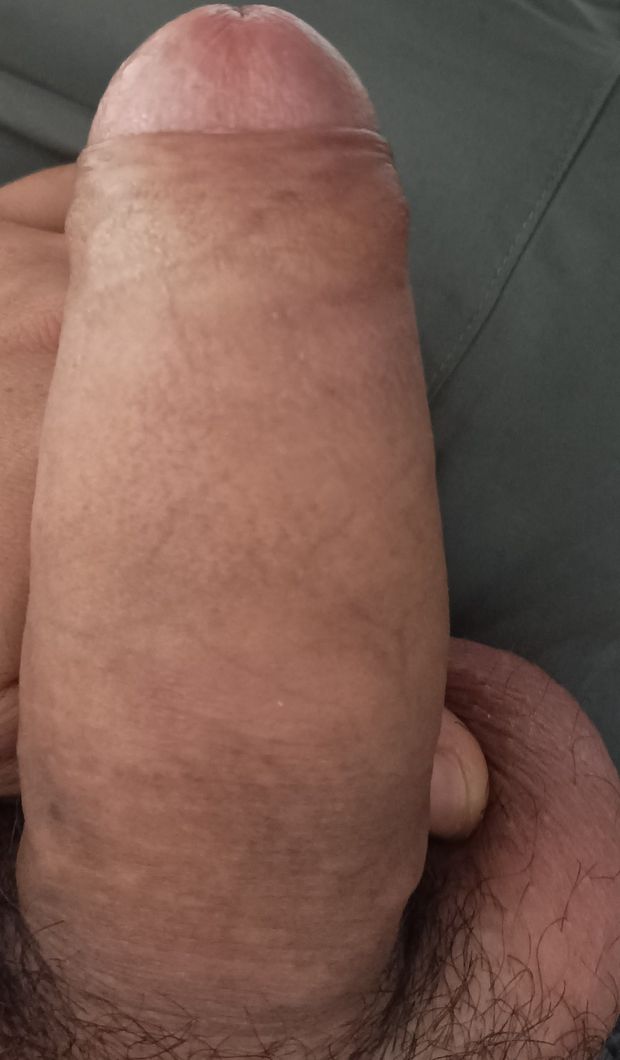 Cock