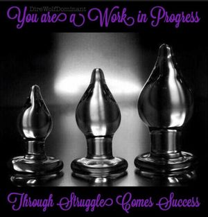 You are a work in progress.