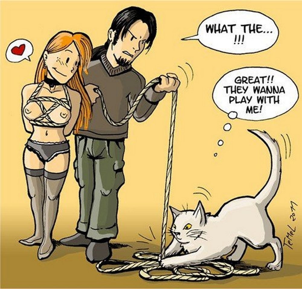 Cats!