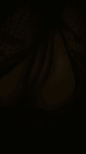 I'm going crazy over her juicy little pussy