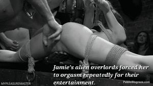 Are you entertained?