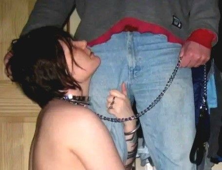 Collared and leashed