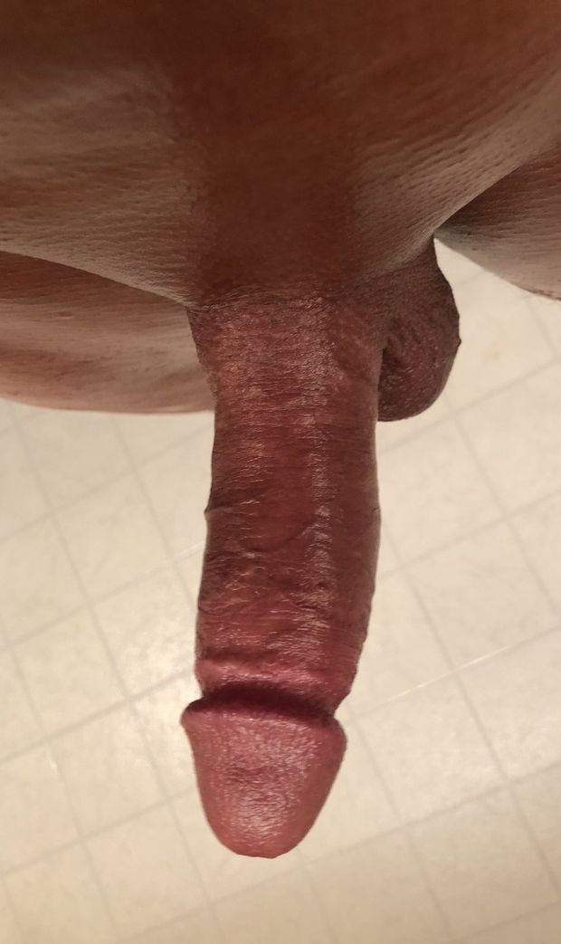 My smooth, tan, oiled, hard cock