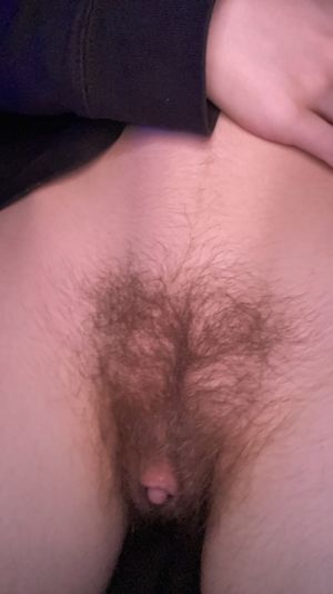 Hairy Pussy