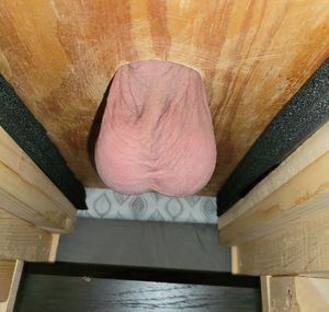 Ball torture seat ready for testing