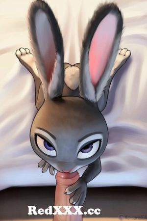 Judy Hopps: Zootopia