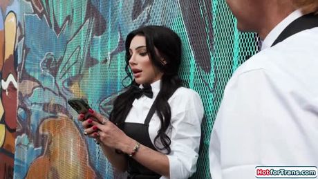 I anal my busty shemale waiter colleague