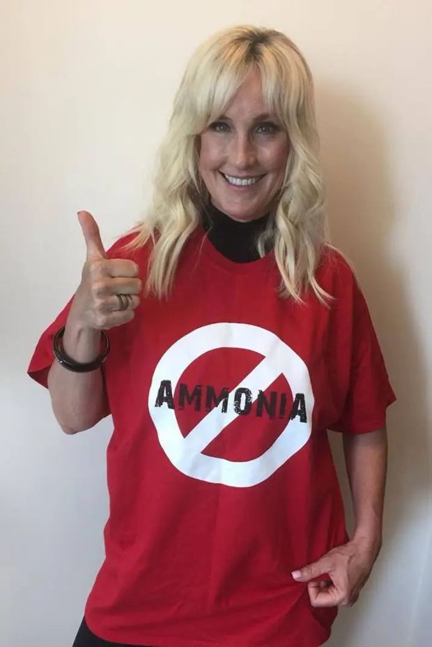 No to ammonia.