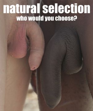 this the natural selection: who would you choose?