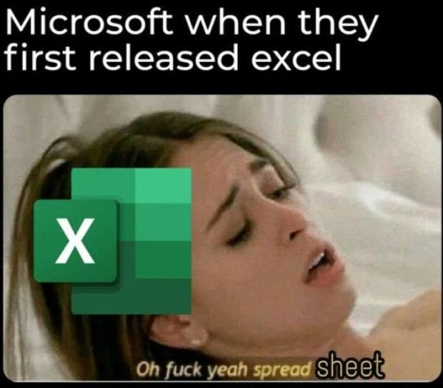 excel(ent) porn meme