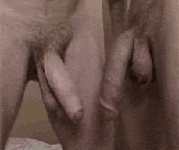 A mighty shlong swings as it calls all faggots to worship