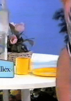 In her zebra swimsuit.