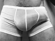 Lingerie masculine